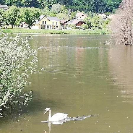 Ferienhaus Am-Moore Steindorf am Ossiacher See Esterno foto